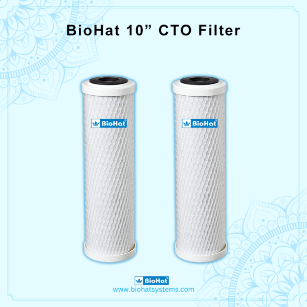 BioHat CTO 10 Inch Carbon Block Cartridge