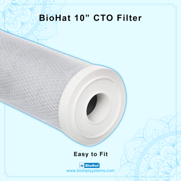 BioHat CTO 10 Inch Carbon Block Cartridge