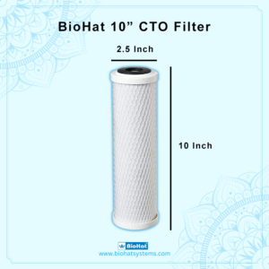 10 Inch CTO Filter