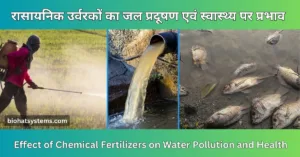 Read more about the article Effect of Chemical Fertilizers ( रासायनिक उर्वरकों का जल प्रदूषण एवं स्वास्थ्य पर प्रभाव )