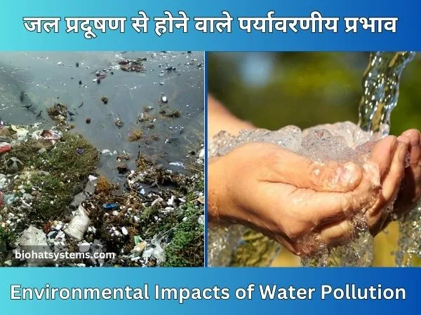 Environmental Impacts of Water Pollution