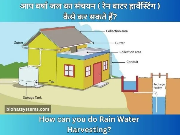 How can you do Rain Water Harvesting