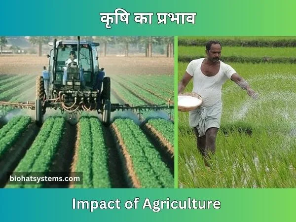 Impact of Agriculture