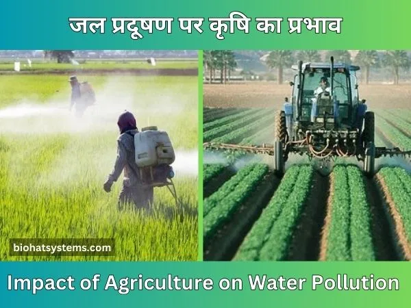 Impact of Agriculture on Water Pollution