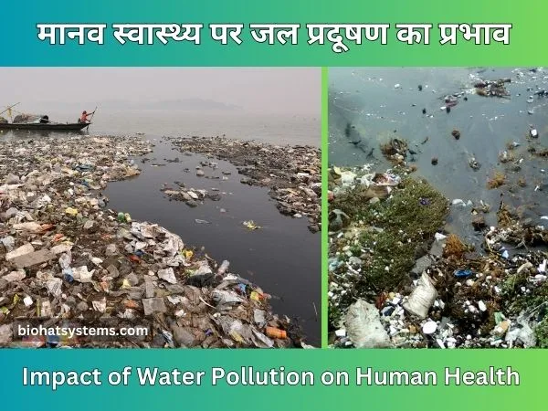 Impact of Water Pollution on Human Health