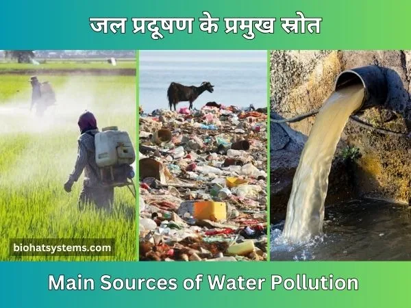 Water Pollution and Impact on Health | Main Sources of Water Pollution