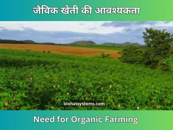 Need for Best Organic Farming and Fertilizers ( जल प्रदुषण रोकने के लिए जैविक खेती एवं उर्वरक की आवश्यकता )