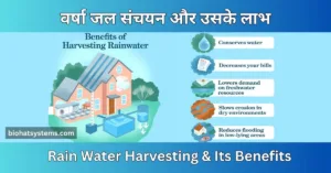 Read more about the article Rain Water Harvesting and Benefits ( वर्षा जल संचयन और लाभ )