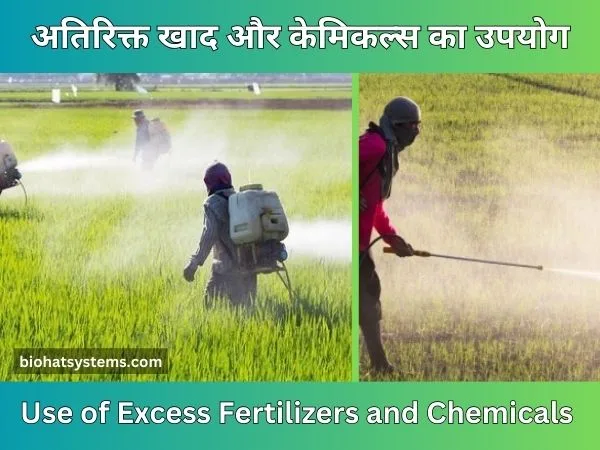 Effect of Chemical Fertilizers | Use of Excess Fertilizers and Chemicals