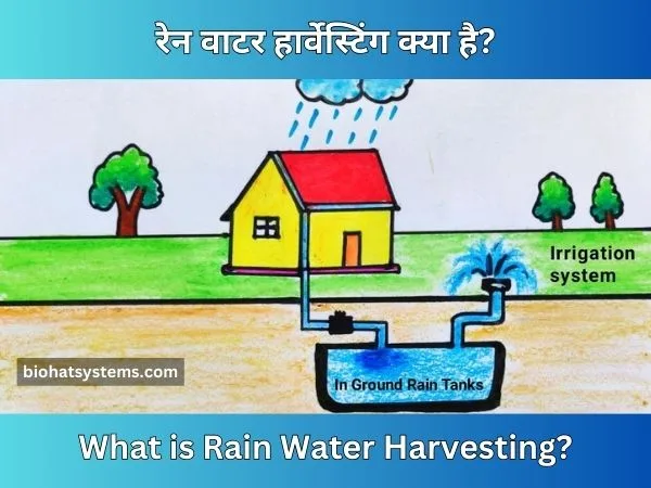 Rain Water Harvesting and Benefits